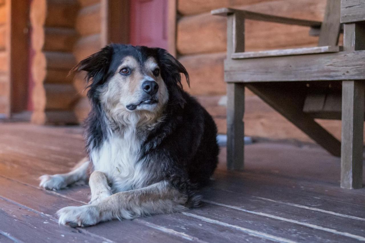 Wells Gray Guest Ranch Ξενοδοχείο Clearwater Εξωτερικό φωτογραφία