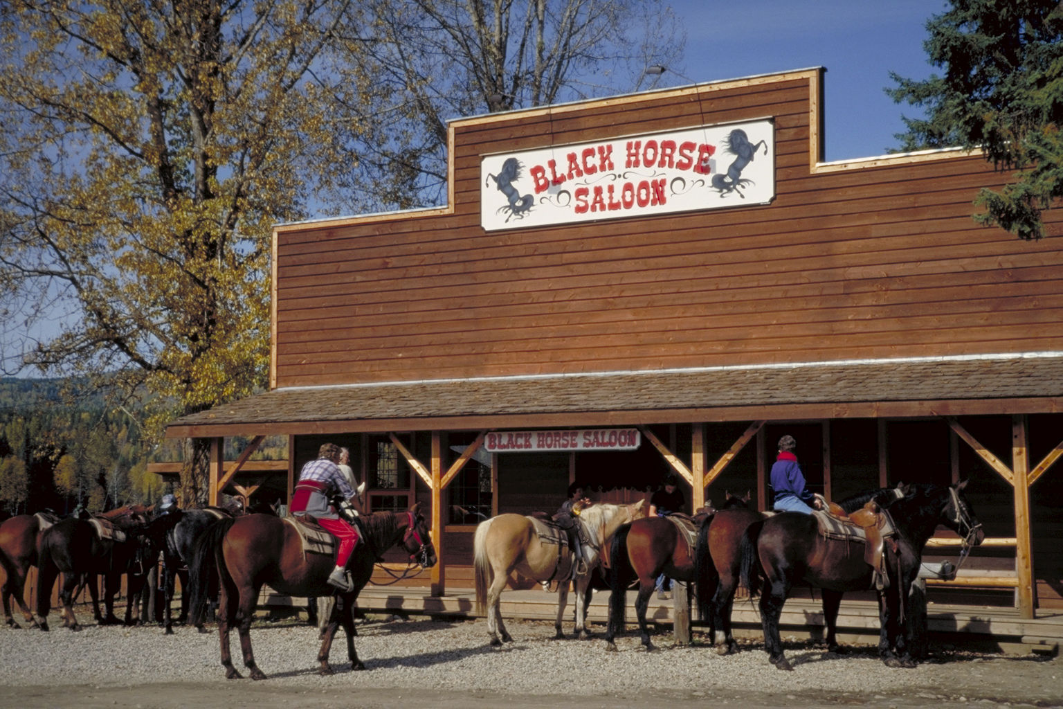 Wells Gray Guest Ranch Ξενοδοχείο Clearwater Εξωτερικό φωτογραφία