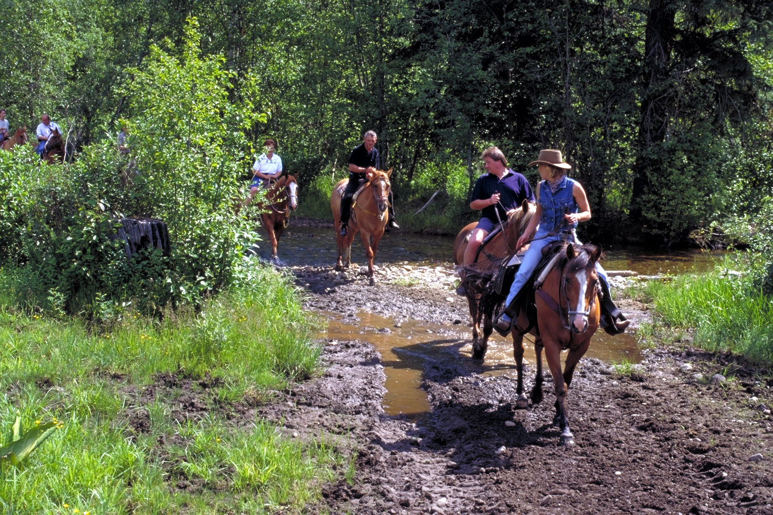 Wells Gray Guest Ranch Ξενοδοχείο Clearwater Εξωτερικό φωτογραφία