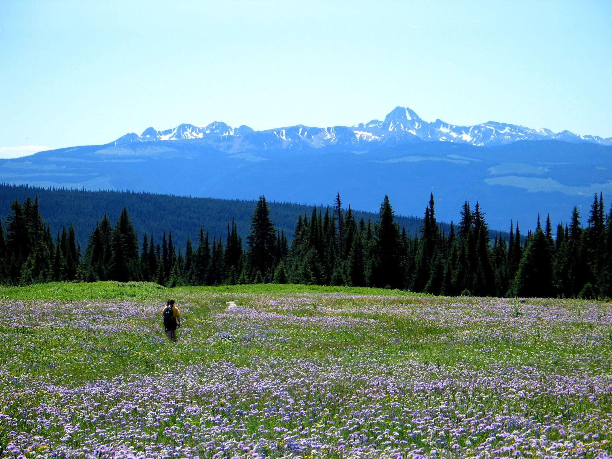 Wells Gray Guest Ranch Ξενοδοχείο Clearwater Εξωτερικό φωτογραφία