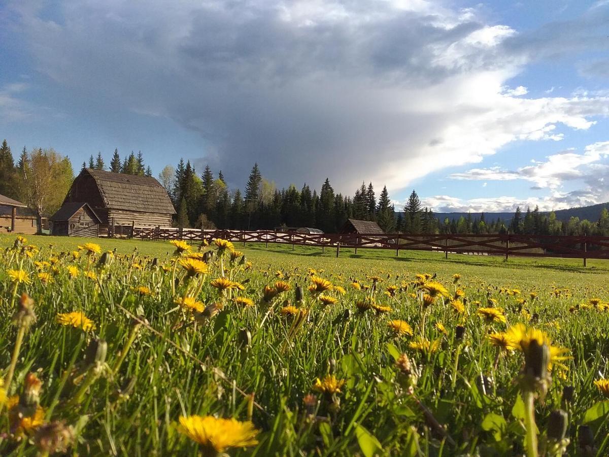 Wells Gray Guest Ranch Ξενοδοχείο Clearwater Εξωτερικό φωτογραφία
